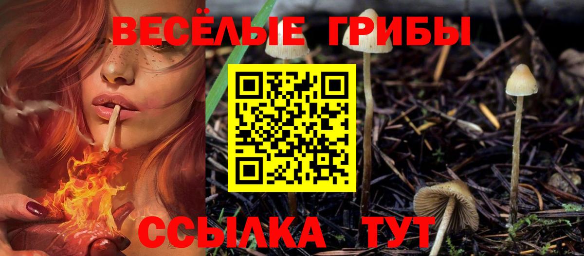 Псилоцибиновые грибы Magic Shrooms  Галлюциногенные грибы GOLDEN TEACHER  Вход с VPN  Егорьевск 